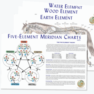Equine 5-Element Meridian Charts | Horse 5-Element Charts